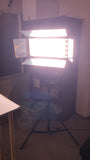 Barn Door Light - Medium