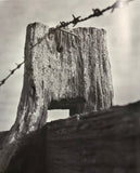IN GLORIOUS BLACK AND WHITE by Douglas Thompson - Hard Cover Book